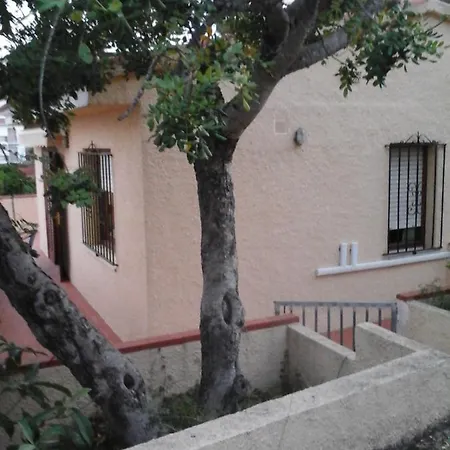 El Nispero Peñíscola